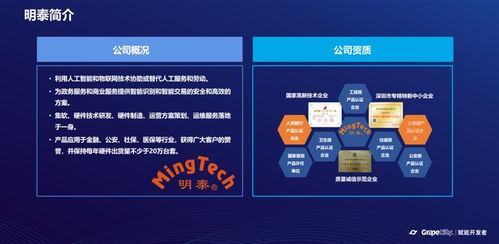 借助活字格低代碼開發(fā)平臺 激發(fā)自主成長能力的基礎軟件服務